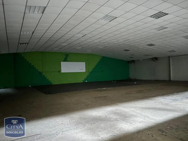 Local professionnel à vendre 500m²