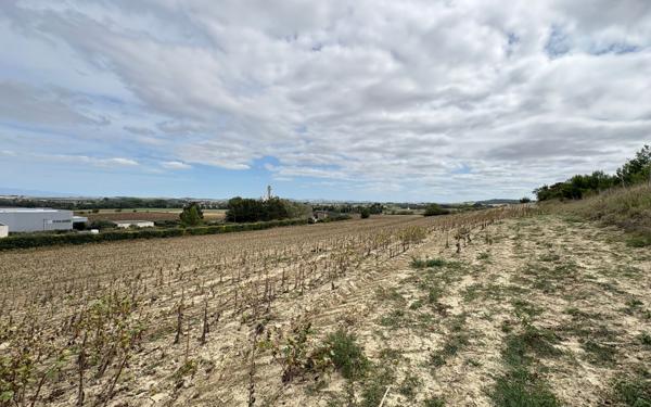 Terrain à vendre    Villasavary