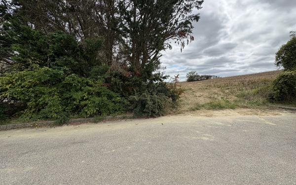 Terrain à vendre    Villasavary