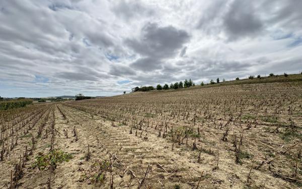Terrain à vendre    Villasavary