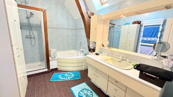 Maison Andouille 11 pièce(s) 345.78 m2