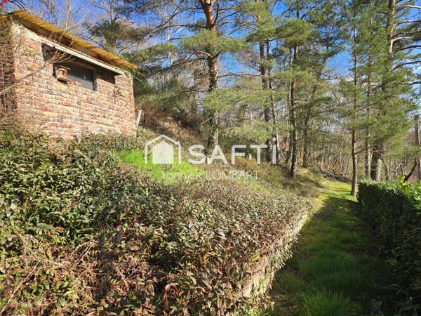 Maison 3 chambres, 2ha65 de terrain boisé