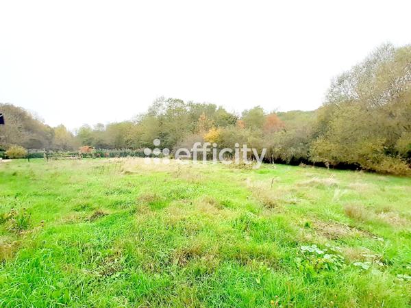 Maison 7 pièces - 166 m²