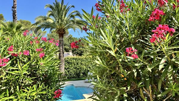 Mougins (06250) Projet exceptionnel à Mougins- 200m2 à réinventer.