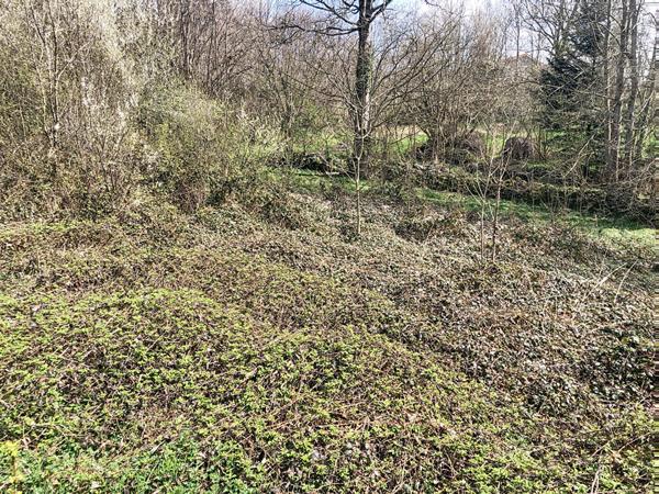 Ancien corps de ferme  a renover  dans hameau de lapte environnement calme