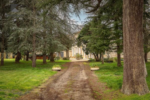 Maison Girondine du 19ème Siècle sur un Vignoble de 7 ha