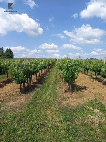 Maison Girondine du 19ème Siècle sur un Vignoble de 7 ha