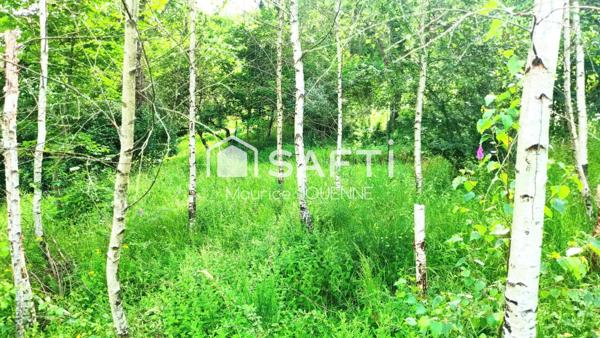 Rare, ce superbe terrain à bâtir, enclos, au calme avec sa vue dégagée panoramique sur la vallée et les massifs