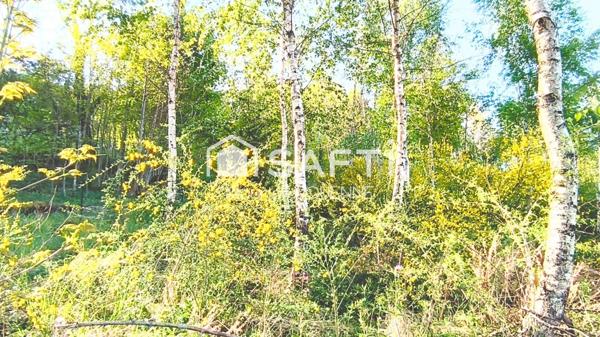 Rare, ce superbe terrain à bâtir, enclos, au calme avec sa vue dégagée panoramique sur la vallée et les massifs
