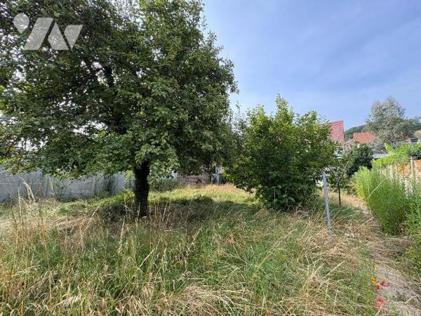 Maison édifiée sur un sous-sol complet et comprenant, au rez-de-chaussée : une entrée, une cuis...