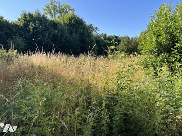 Maison à usage d'habitation 