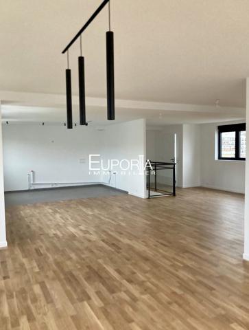 Penthouse 104m2 vue Tour Eiffel