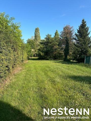 A Vendre: Parcelle de Terrain à bâtir en zone UE d'environ 3000 m² - 71960 PRISSE