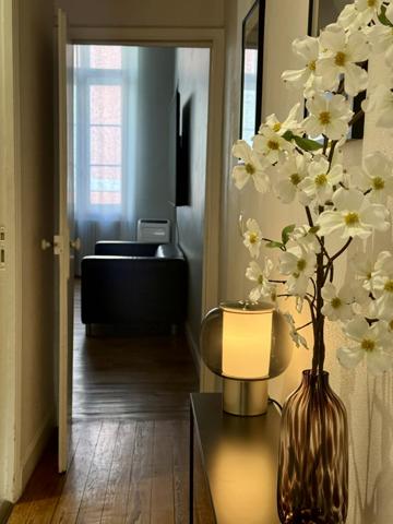 CARCASSONNE ELEGANT APPARTEMENT HAUSMANNIEN