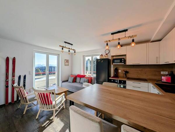 Appartement T2 avec vue sur mont blanc