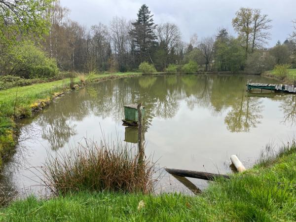 Maison avec étang – Cadre naturel exceptionnel à 20 min de Limoges