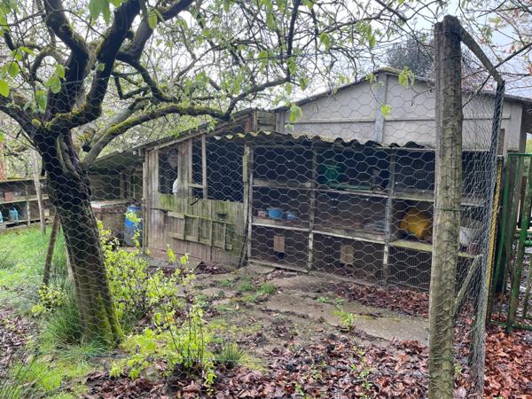 Maison avec étang – Cadre naturel exceptionnel à 20 min de Limoges