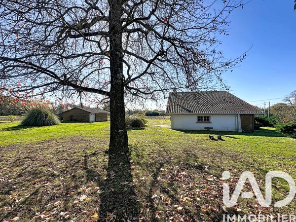 Maison à vendre 5 pièces 138 m² Narrosse