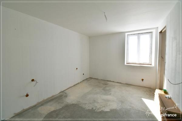 Maison à finir 2 pièces ARDENAIS (18)