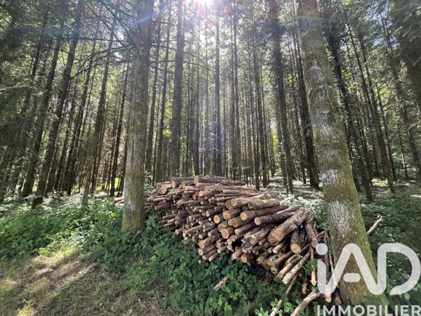 Terrain à vendre 24 435 m² Bonnac-la-Côte