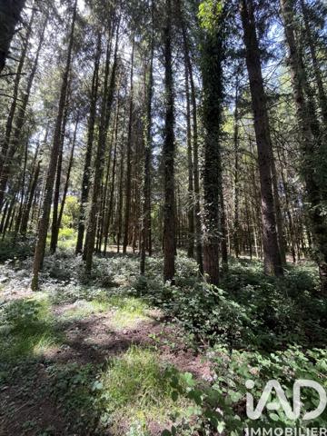 Terrain à vendre 24 435 m² Bonnac-la-Côte