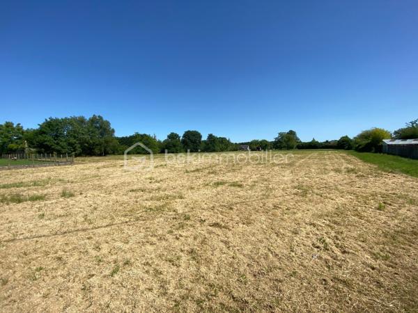 Terrain de 4 432 m²