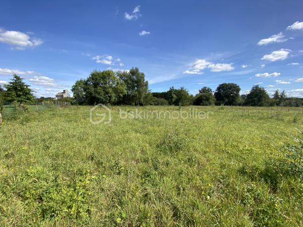 Terrain de 4 432 m²