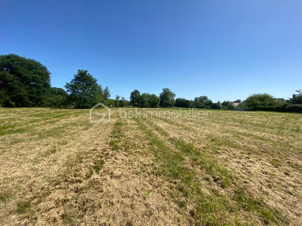 Terrain de 4 432 m²