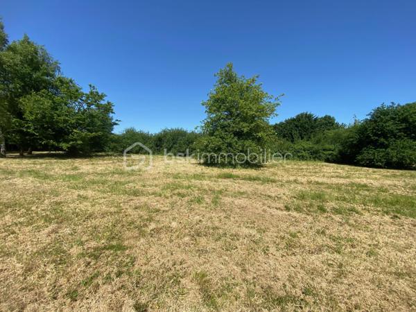 Terrain de 4 432 m²