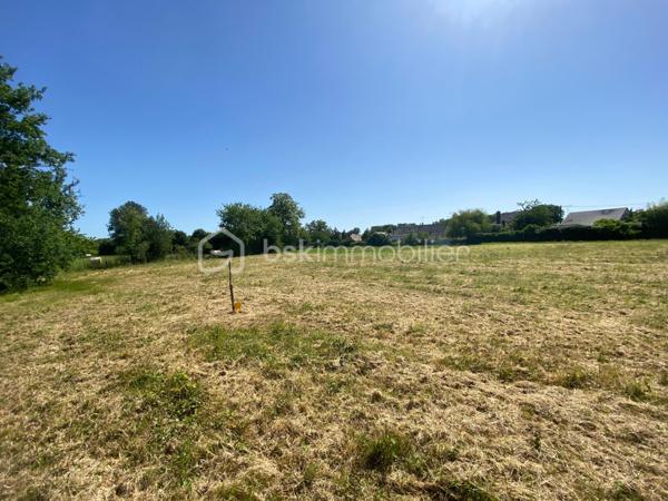 Terrain de 4 432 m²