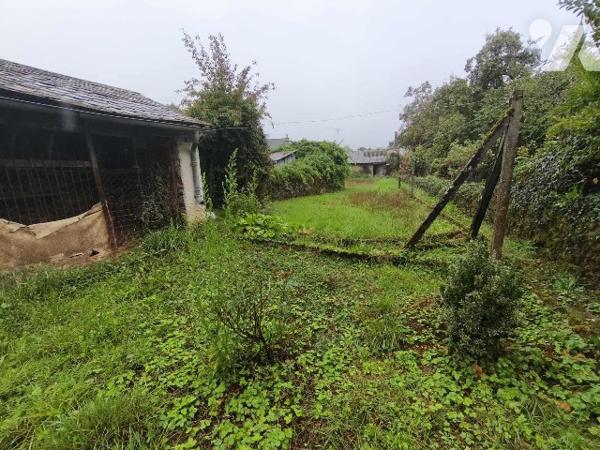 Maison de Ville avec jardin à rénover