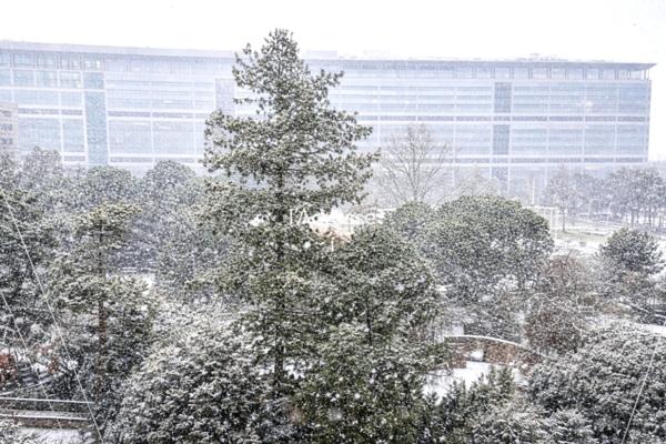 Gare Montparnasse - Appartement familial avec vue dégagée sur jardin arboré