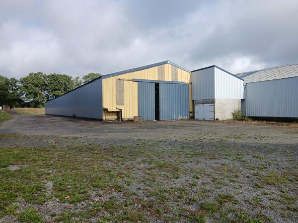 A louer entrepôt de 3200 m2 à 10 min de Pontivy. Axe Pontivy Josselin