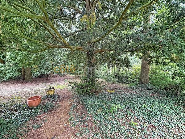 Vente
                Maison153 m² - 6 Pièces -
                    BOURGTHEROULDE INFREVILLE (27520)