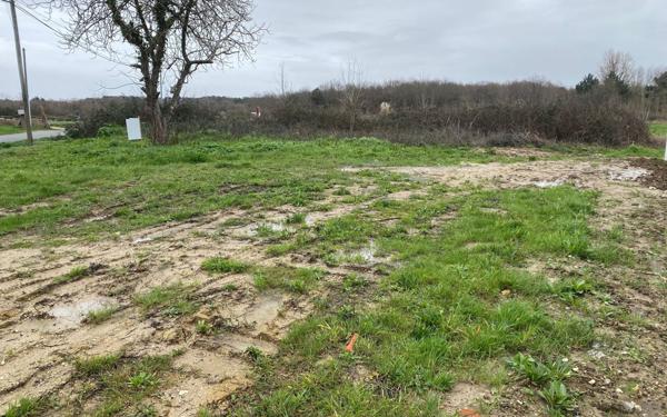 Terrain à vendre    Dolus-d'Oléron