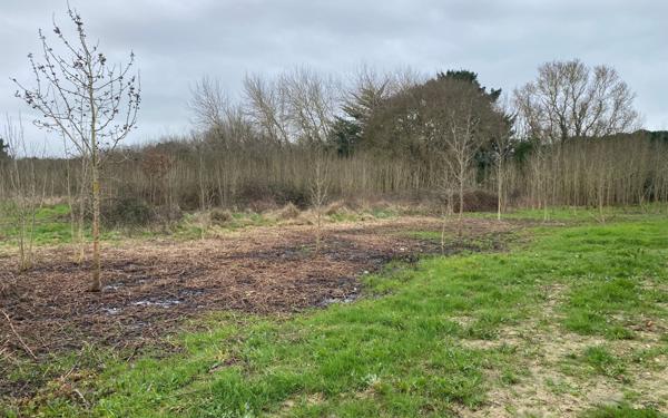 Terrain à vendre    Dolus-d'Oléron