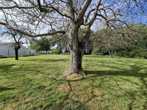 Maison à vendre à Arvert en Charente-Maritime (17530), ref : 17111-659
