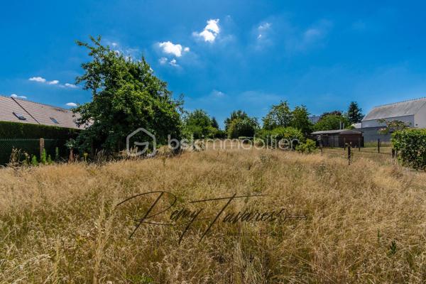 Terrain de 1 299 m²