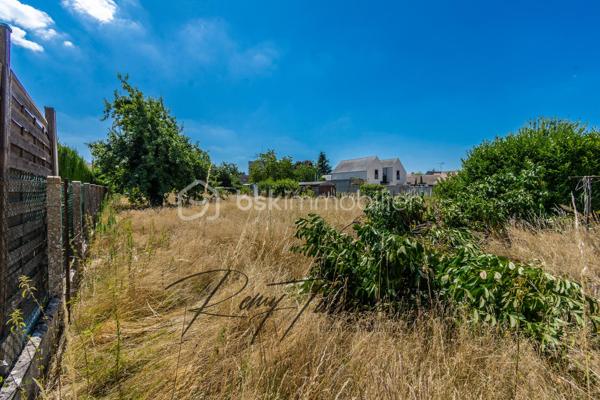 Terrain de 1 299 m²
