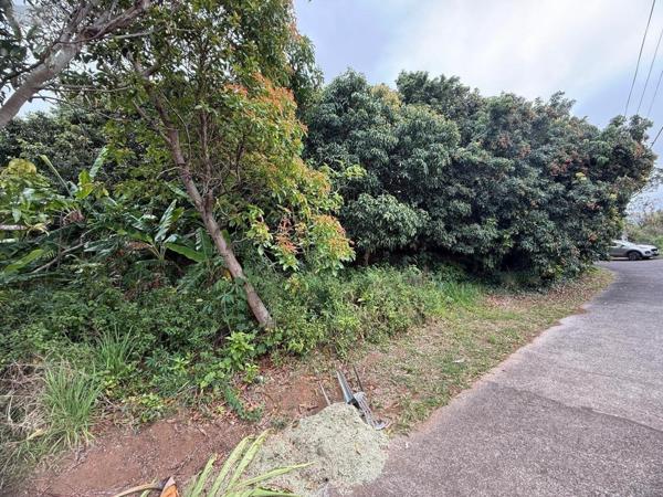 Terrain à Batir à vendre à Saint-Joseph à la Réunion (97480), ref : 97405/224   
Plaine des grègues