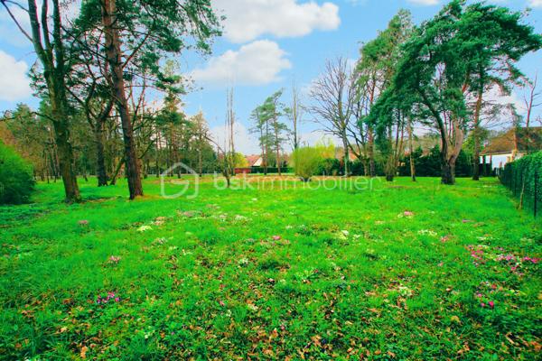 Terrain de 1 286 m²