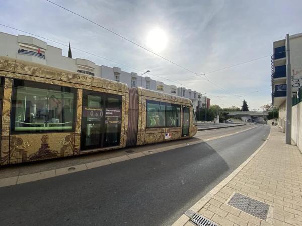 Appartement à louer à Montpellier (34000)