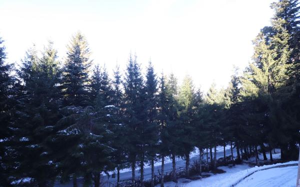 Appartement à vendre    2 pièces • 49,28 m2 Lucéram