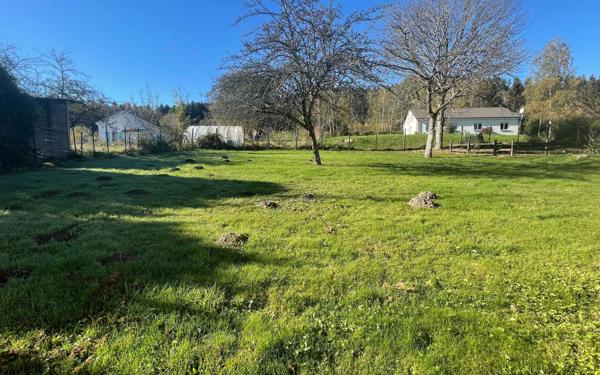 Maison à vendre    11 pièces •  Bruyères