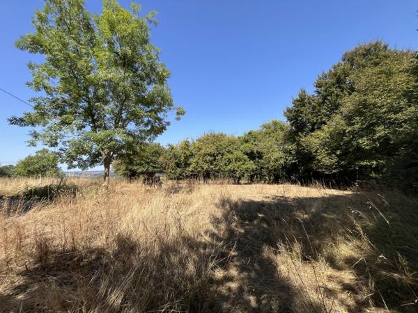 Vente / Maison à Tessy-Bocage (50420)