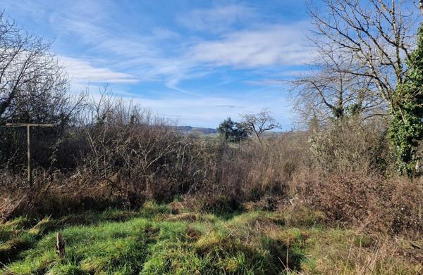maison à fort potentiel