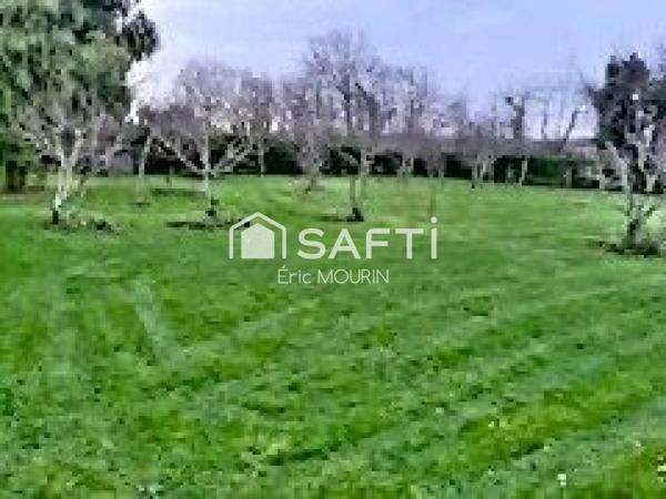 Très grande maison avec beaucoup de potentiel et 1ha300 de terrain.