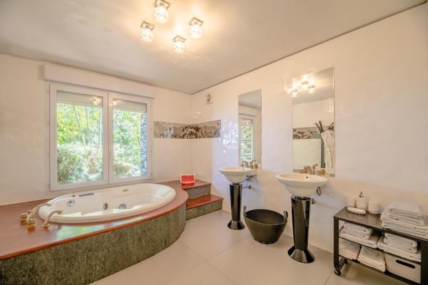 Maison à vendre  7 pièces - 314,07 m2 ZONZA - 201