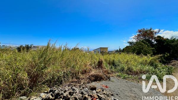 Terrain à vendre 977 m² Le Tampon