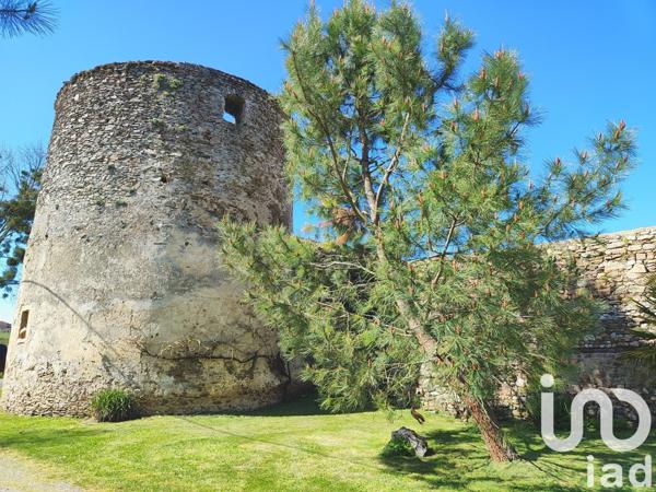 Maison 12 pièces de 388 m² à Ansac-sur-Vienne (16500)